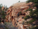 Zion Canyon